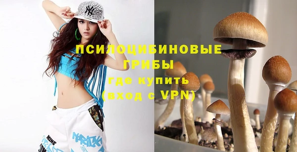 прущая мука Дмитровск