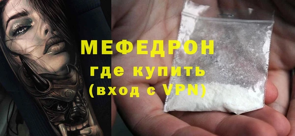 индика Дмитриев