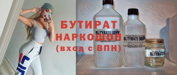 индика Дмитриев
