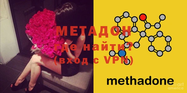 индика Дмитриев