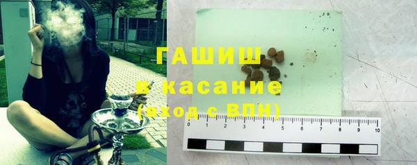 индика Дмитриев