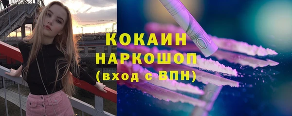 индика Дмитриев