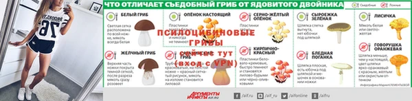 индика Дмитриев