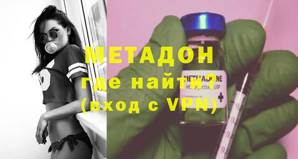 прущие грибы Усолье-Сибирское