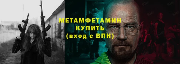 индика Дмитриев