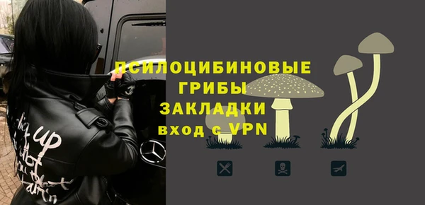 амф Дмитров