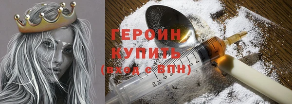 индика Дмитриев