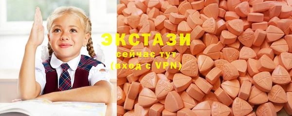индика Дмитриев
