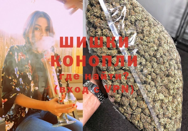 амф Дмитров