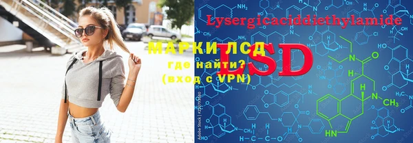 индика Дмитриев