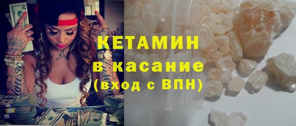 индика Дмитриев