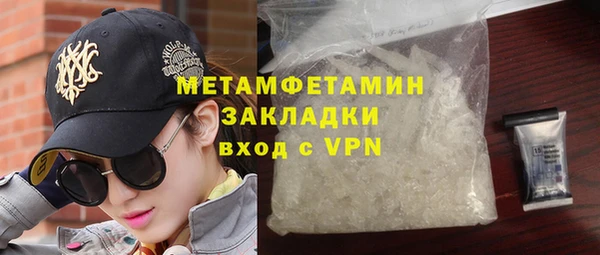 индика Дмитриев