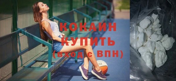 индика Дмитриев