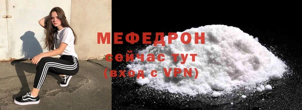 индика Дмитриев