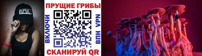 Галлюциногенные грибы MAGIC MUSHROOMS  mega ONION  Чегем  сайты даркнета официальный сайт  где продают наркотики 